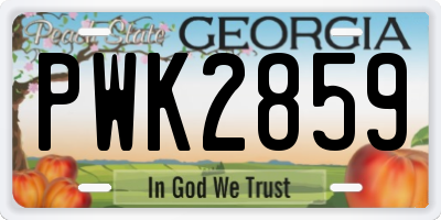 GA license plate PWK2859