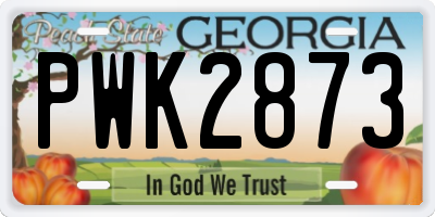 GA license plate PWK2873