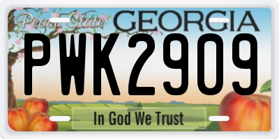 GA license plate PWK2909
