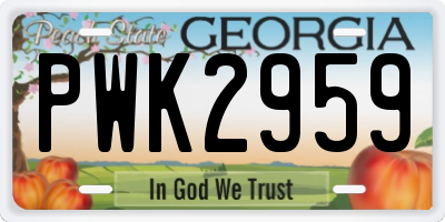 GA license plate PWK2959