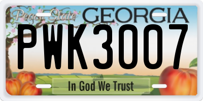 GA license plate PWK3007