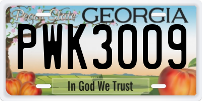 GA license plate PWK3009