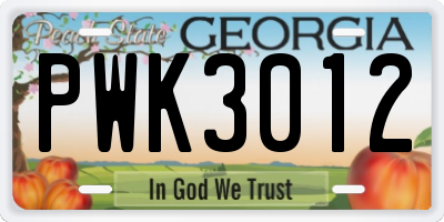 GA license plate PWK3012