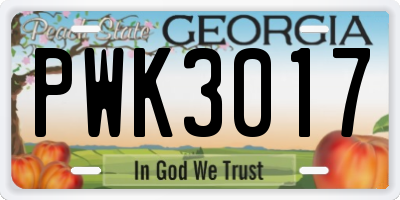 GA license plate PWK3017