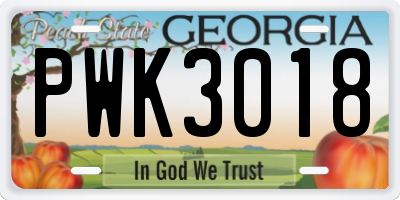 GA license plate PWK3018