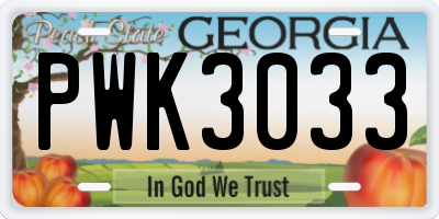 GA license plate PWK3033
