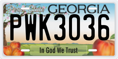 GA license plate PWK3036