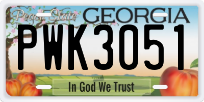 GA license plate PWK3051
