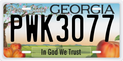 GA license plate PWK3077