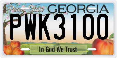 GA license plate PWK3100