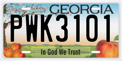 GA license plate PWK3101