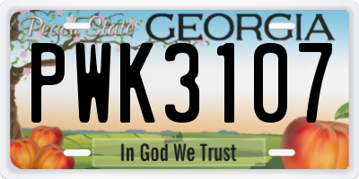 GA license plate PWK3107