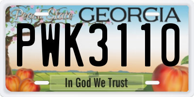 GA license plate PWK3110