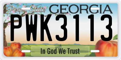 GA license plate PWK3113