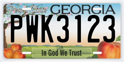 GA license plate PWK3123