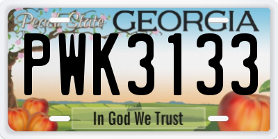 GA license plate PWK3133