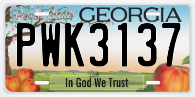 GA license plate PWK3137