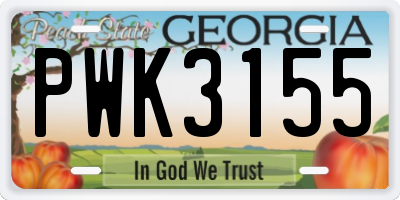GA license plate PWK3155