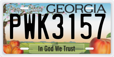 GA license plate PWK3157