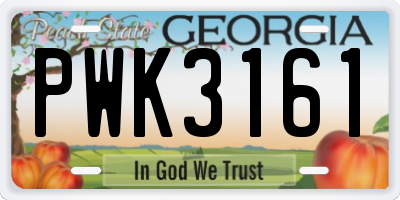 GA license plate PWK3161