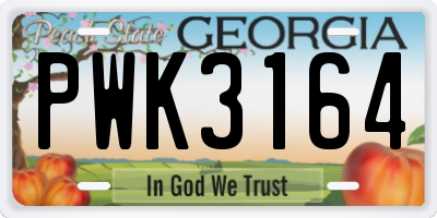 GA license plate PWK3164