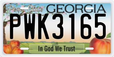 GA license plate PWK3165