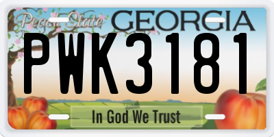 GA license plate PWK3181