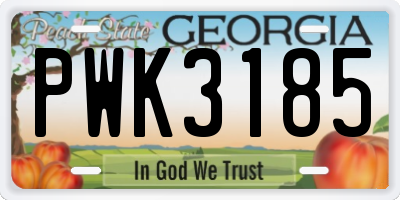 GA license plate PWK3185