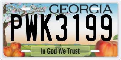 GA license plate PWK3199