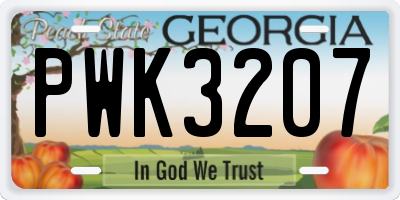 GA license plate PWK3207