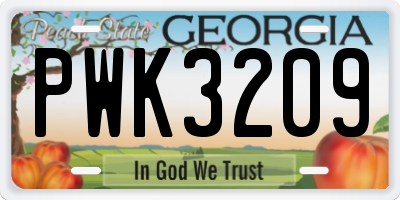 GA license plate PWK3209