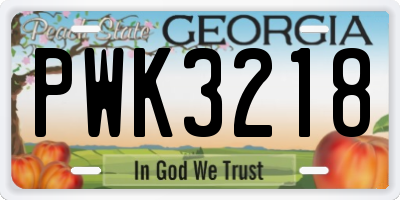 GA license plate PWK3218