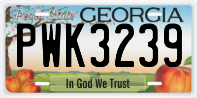 GA license plate PWK3239