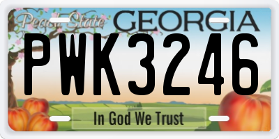 GA license plate PWK3246
