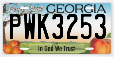 GA license plate PWK3253