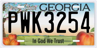 GA license plate PWK3254