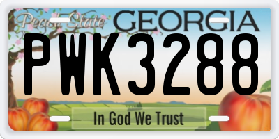 GA license plate PWK3288
