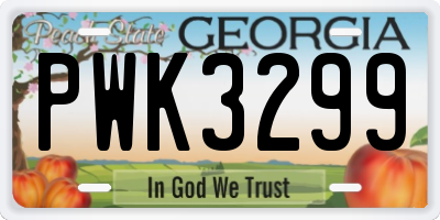 GA license plate PWK3299