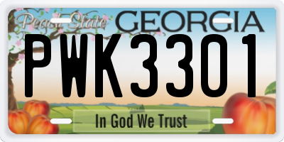 GA license plate PWK3301