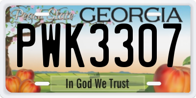 GA license plate PWK3307
