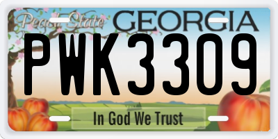 GA license plate PWK3309