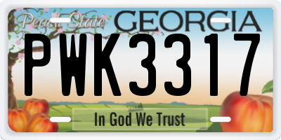 GA license plate PWK3317