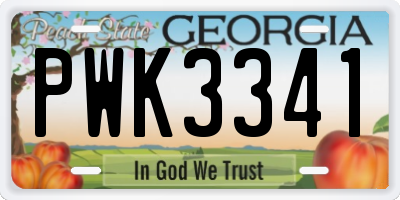 GA license plate PWK3341