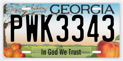 GA license plate PWK3343