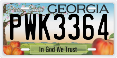 GA license plate PWK3364