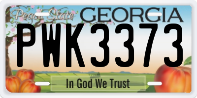 GA license plate PWK3373