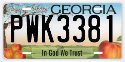 GA license plate PWK3381