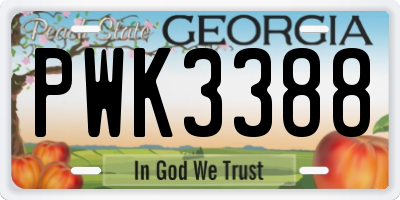 GA license plate PWK3388