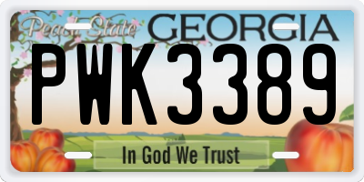 GA license plate PWK3389