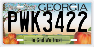 GA license plate PWK3422